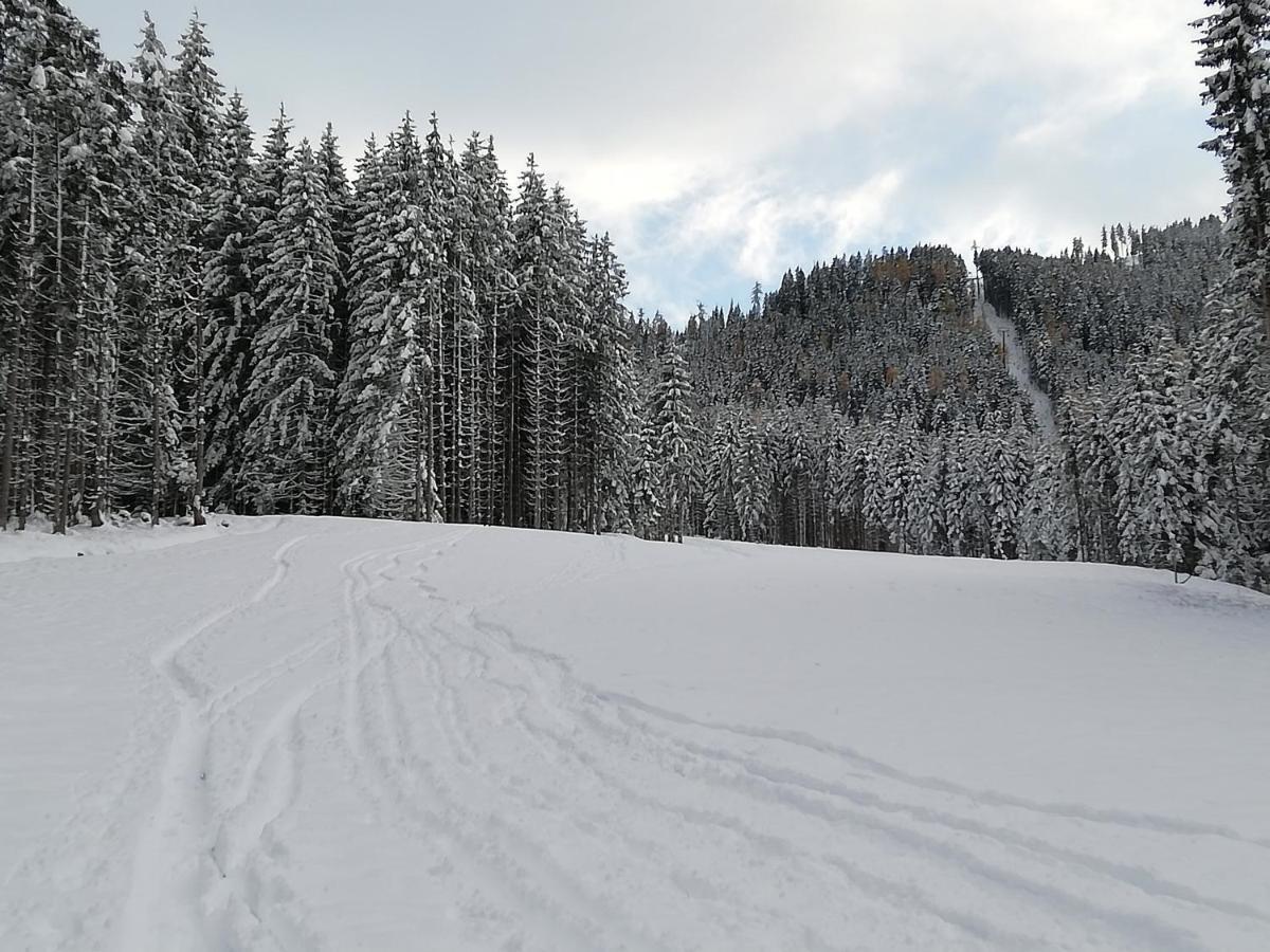 Ferienwohnung Mit Blick Auf Die Buchensteinwand Hochfilzen Ngoại thất bức ảnh